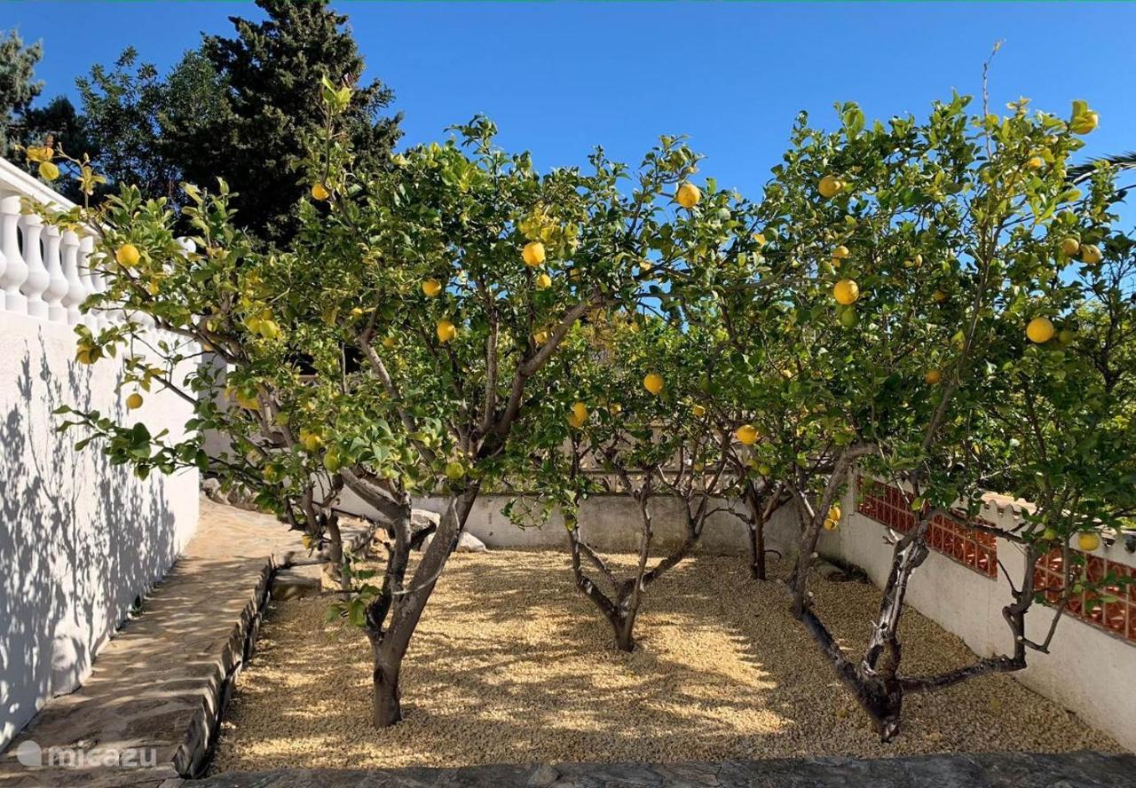 Casas de Torrat Casa El Rico Near Calpe And Moraira 빌라 외부 사진